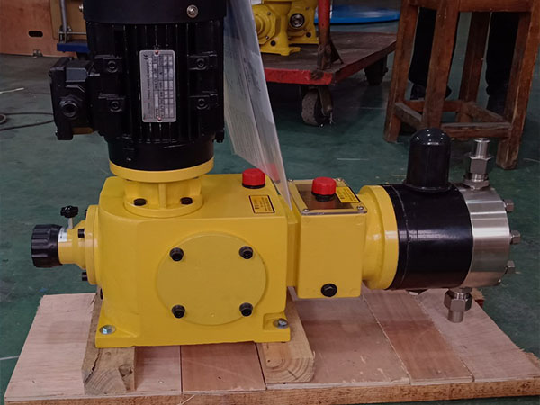 Sino Mechanical Hydraulic Diaphragm Metering Pumps Shipped to Europe